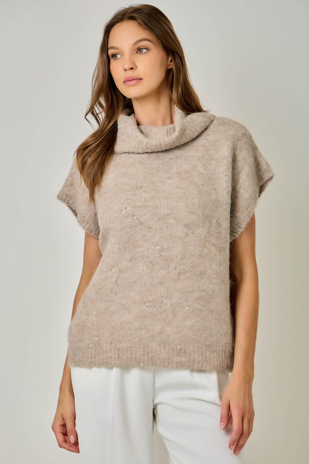 Turtleneck Sequin Sweater