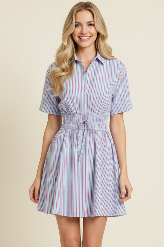 Striped Button Down Dress