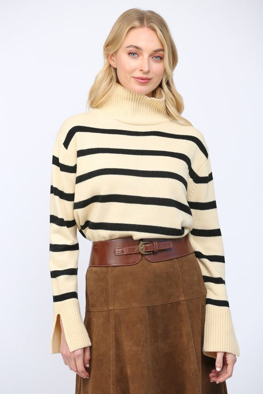 Stripe Pattern Turtleneck Sweater