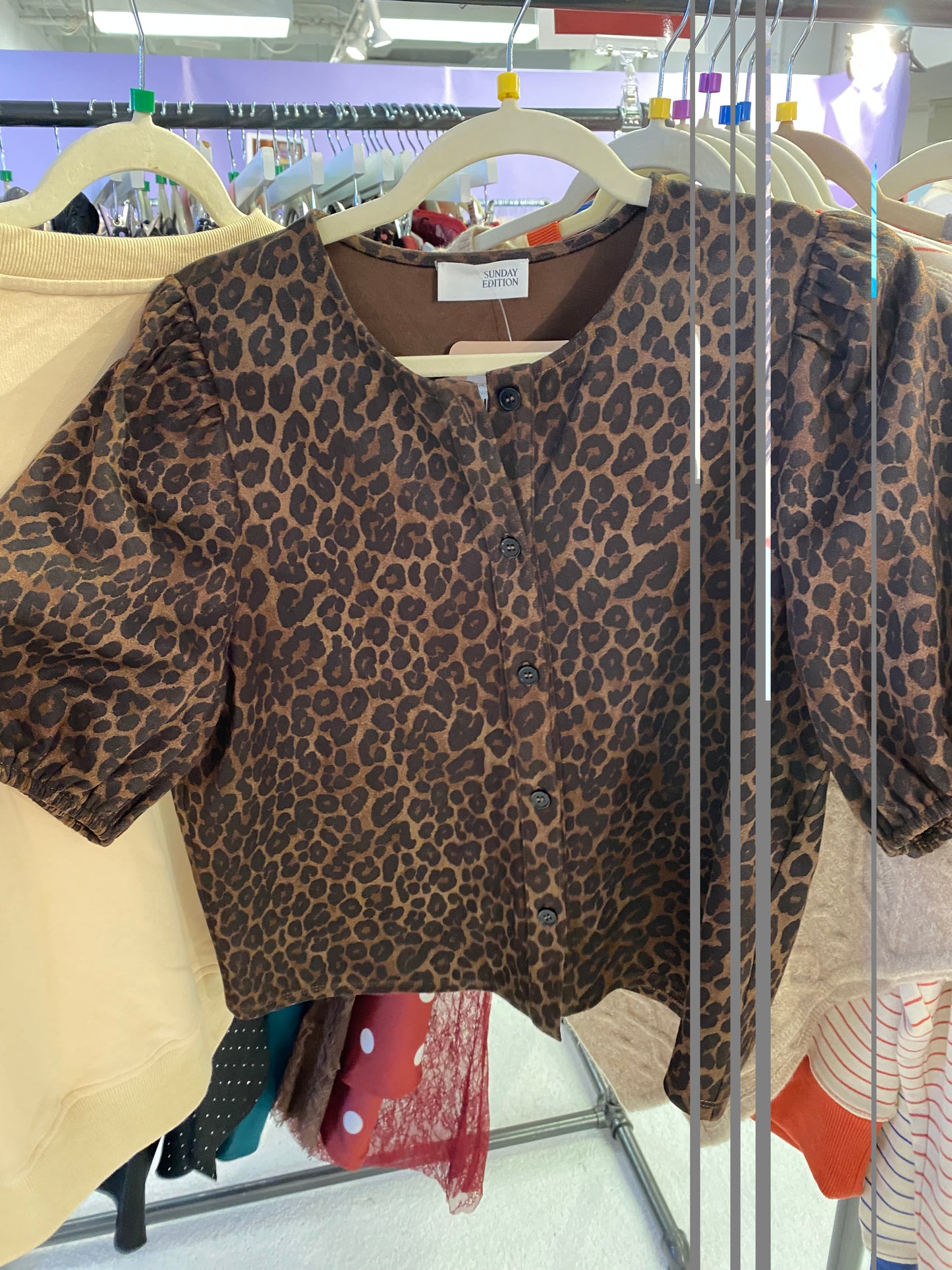 Brown Leopard Top