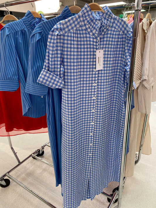 Sky Seer Gingham