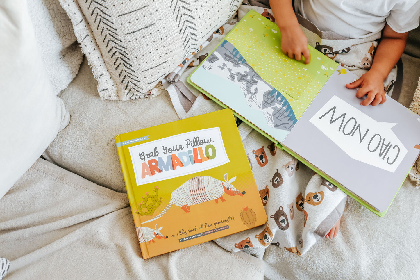 Grab Your Pillow, Armadillo Children's Book